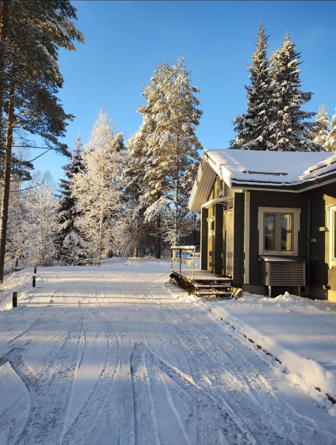 Villa Aleksi With Sauna Rovaniemi Zewnętrze zdjęcie